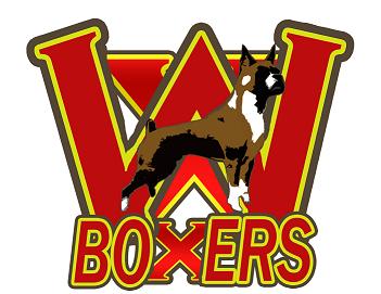Wisconsin Boxers Alternate